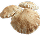 Pita Bread